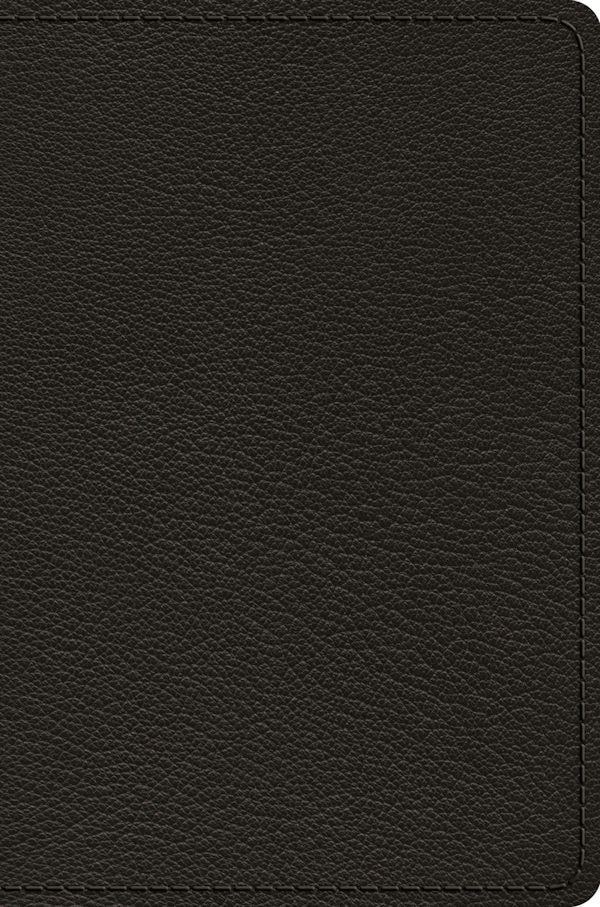 Cover image for ESV Preaching Bible, Verse-By-Verse Edition (Goatskin, Black), isbn: 9781433572067