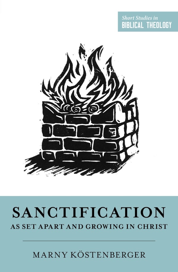 Cover image for Sanctification as Set Apart and Growing in Christ, isbn: 9781433573651