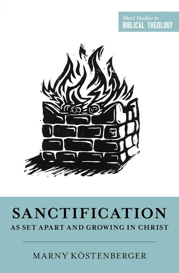 Cover image for Sanctification as Set Apart and Growing in Christ, isbn: 9781433573651