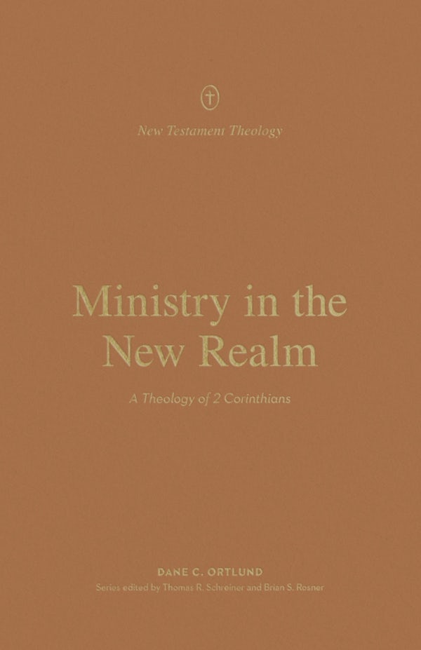 Cover image for Ministry in the New Realm, isbn: 9781433574153