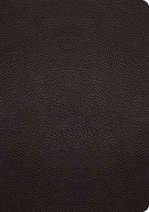 Cover image for ESV Study Bible (Buffalo Leather, Deep Brown), isbn: 9781433575921
