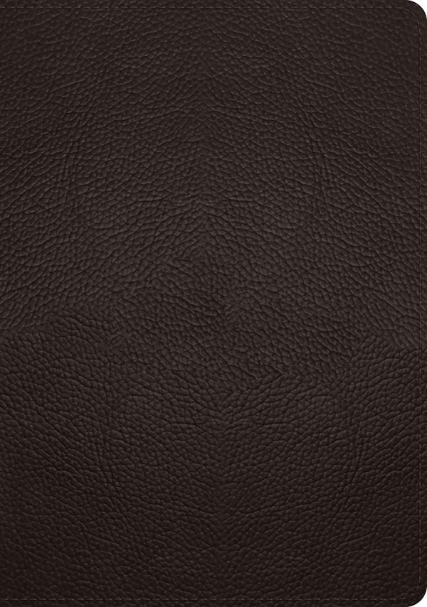 Cover image for ESV Study Bible (Buffalo Leather, Deep Brown), isbn: 9781433575921
