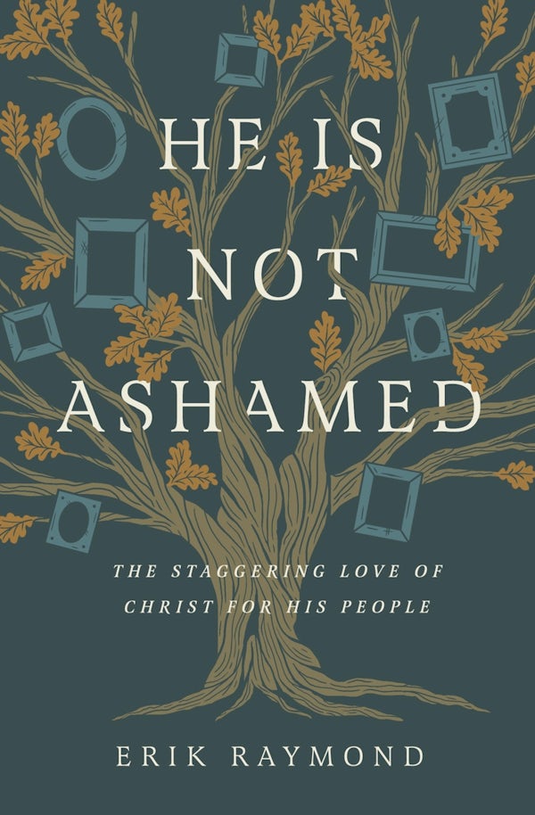 Cover image for He Is Not Ashamed, isbn: 9781433579349
