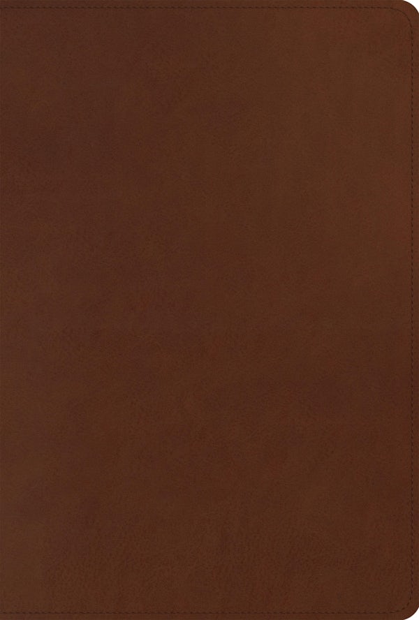 Cover image for ESV Men's Study Bible (Trutone, Brown), isbn: 9781433581632