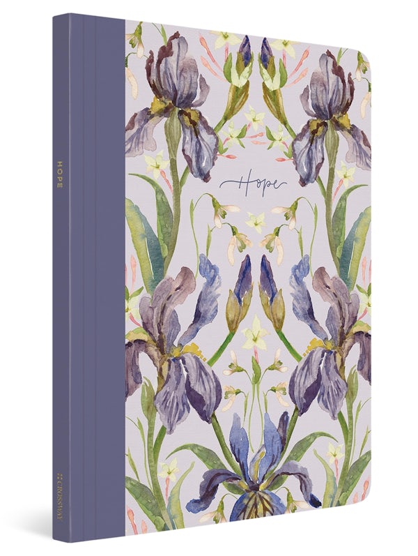 Cover image for ESV Prayer Journal, isbn: 9781433582479
