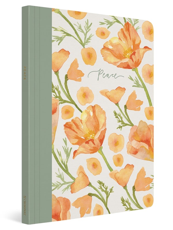 Cover image for ESV Prayer Journal, isbn: 9781433582486
