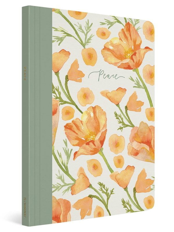 Cover image for ESV Prayer Journal, isbn: 9781433582486