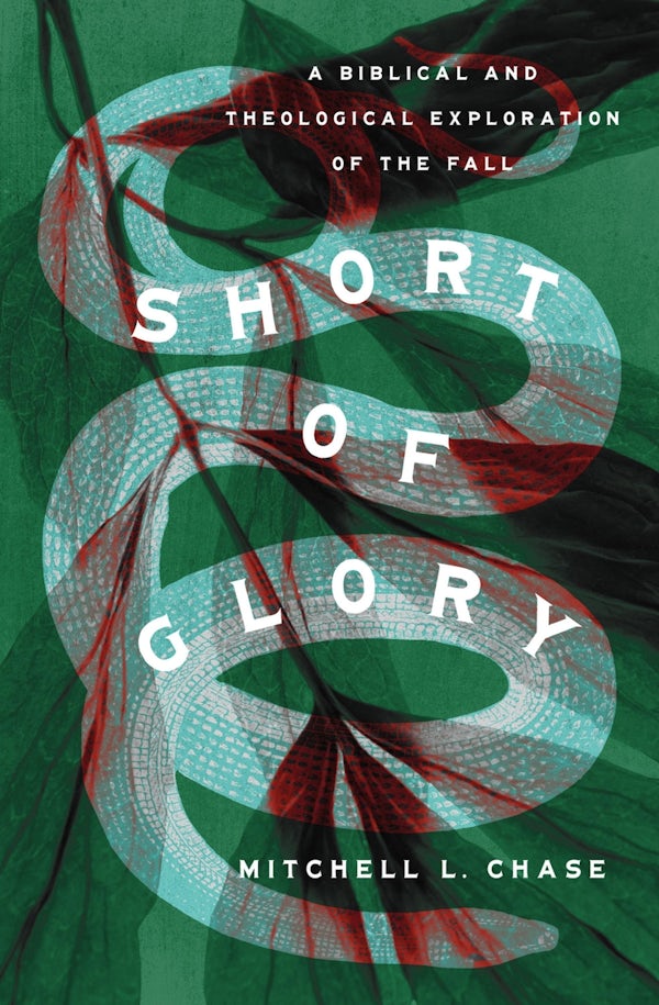 Cover image for Short of Glory, isbn: 9781433585098