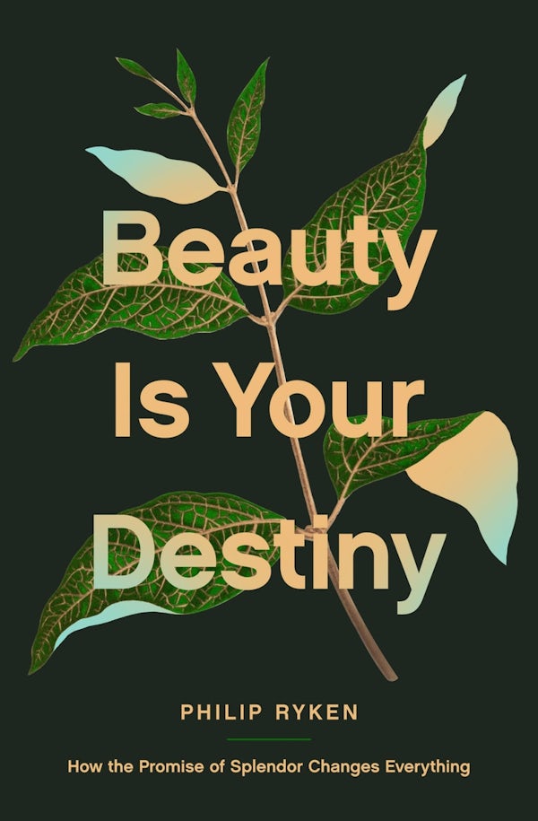 Cover image for Beauty Is Your Destiny, isbn: 9781433587726
