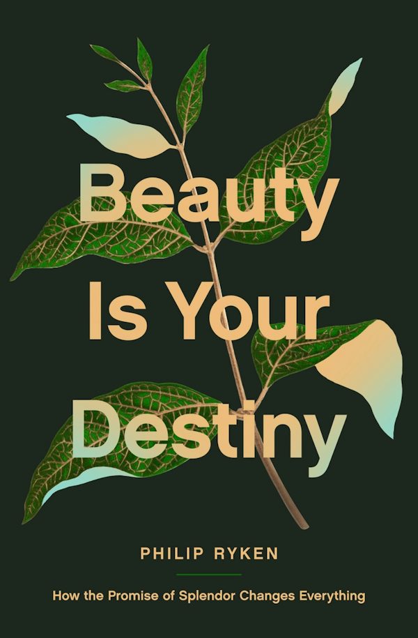 Cover image for Beauty Is Your Destiny, isbn: 9781433587726