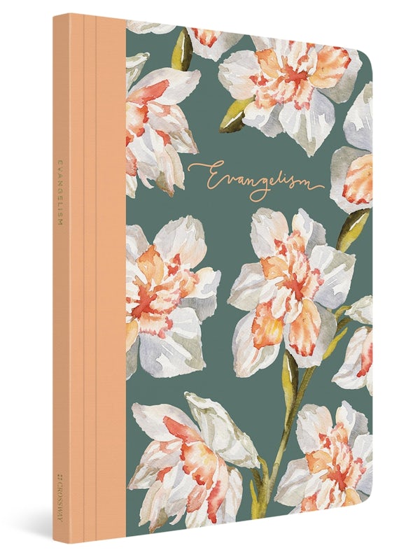 Cover image for ESV Prayer Journal, isbn: 9781433588563