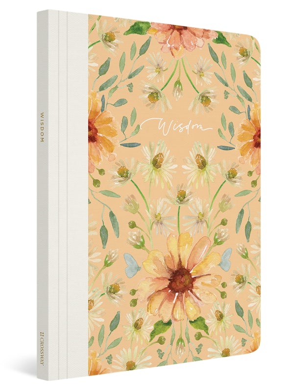Cover image for ESV Prayer Journal, isbn: 9781433588570