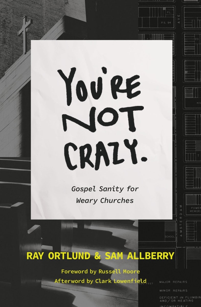 Cover image for You're Not Crazy, isbn: 9781433590573