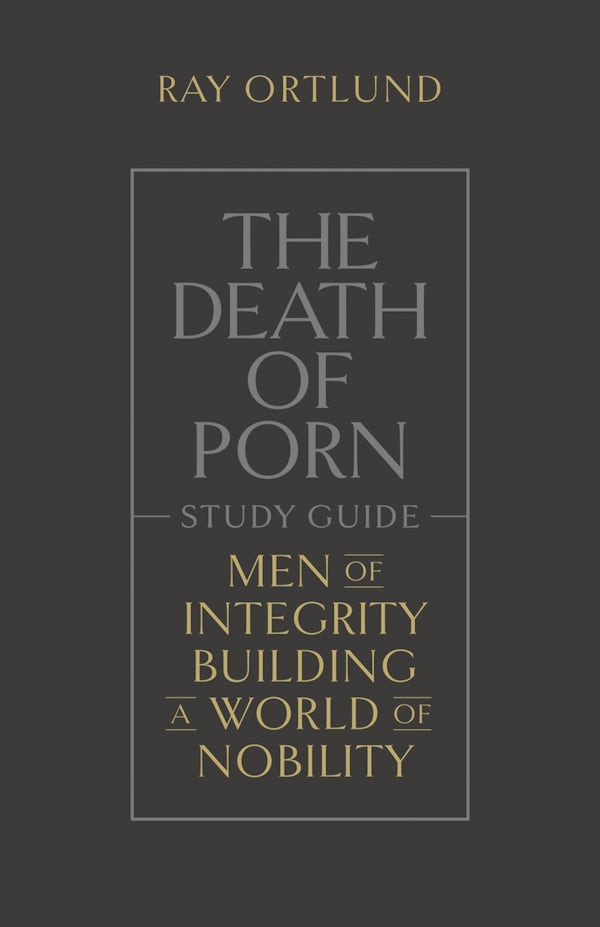 Cover image for The Death of Porn Study Guide, isbn: 9781433590603