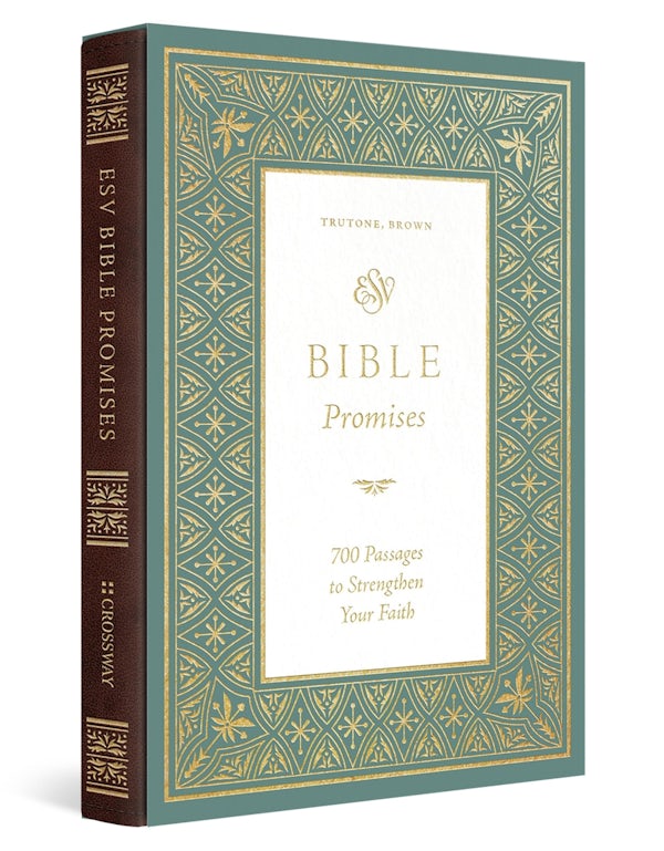 Cover image for ESV Bible Promises, isbn: 9781433591891