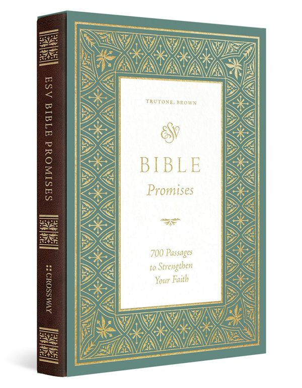 Cover image for ESV Bible Promises, isbn: 9781433591891
