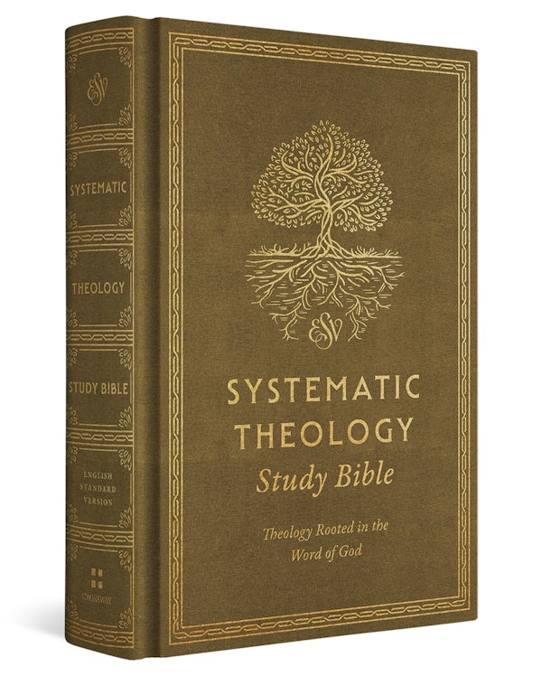 Cover image for ESV Systematic Theology Study Bible, isbn: 9781433591990