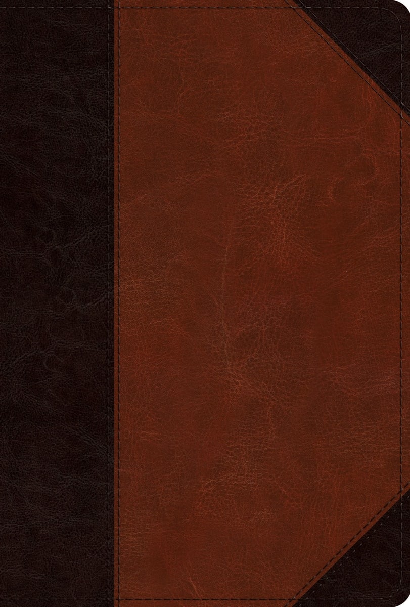 Cover image for ESV Men's Study Bible (Trutone, Brown/Cordovan, Portfolio Design), isbn: 9781433593161