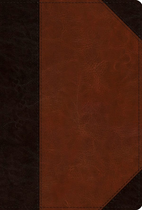 Cover image for ESV Men's Study Bible (Trutone, Brown/Cordovan, Portfolio Design), isbn: 9781433593161