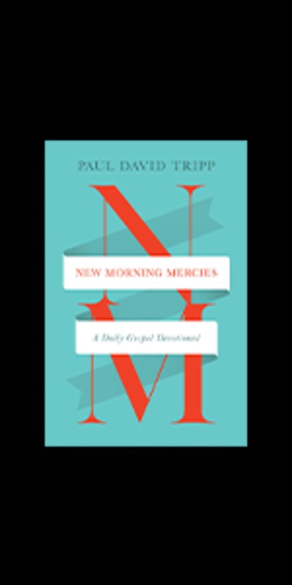 Cover image for New Morning Mercies, isbn: 9781433594243