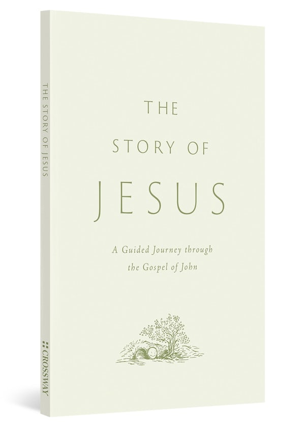Cover image for The Story of Jesus, isbn: 9781433595592