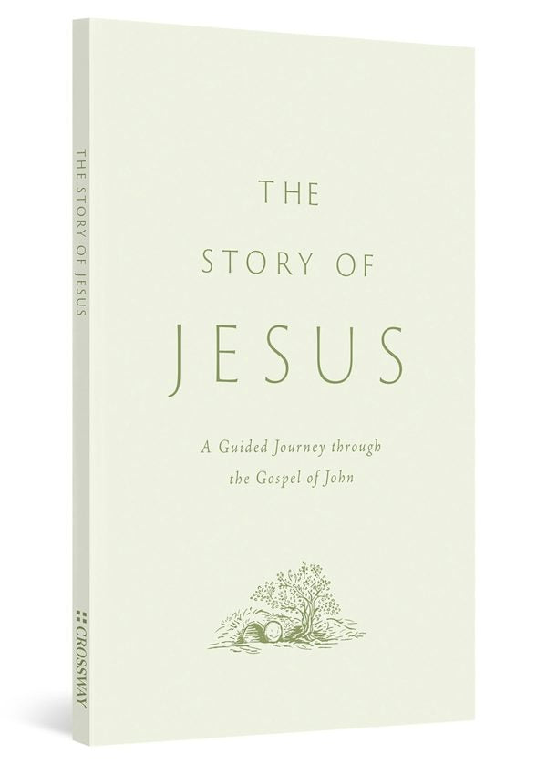 Cover image for The Story of Jesus, isbn: 9781433595592