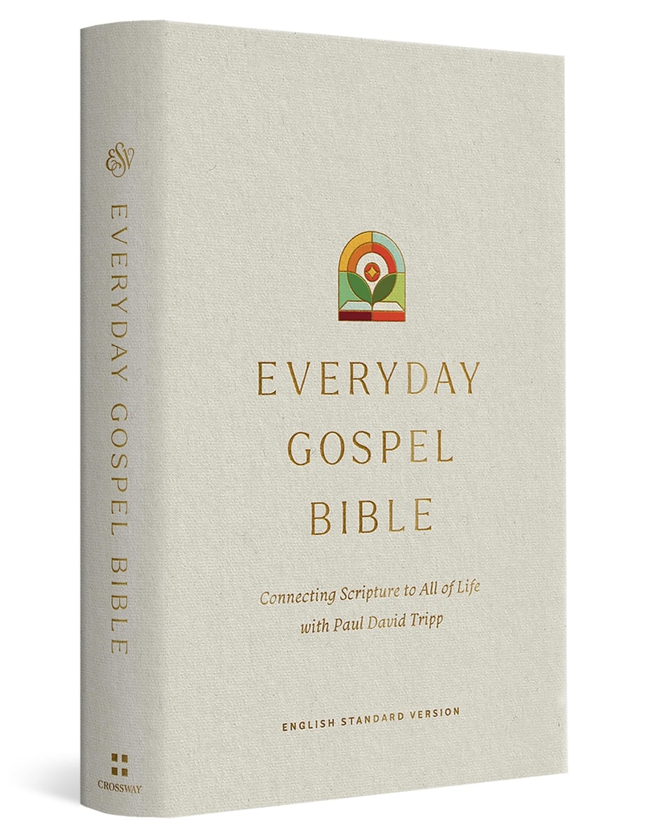 Cover image for ESV Everyday Gospel Bible, isbn: 9781433595691