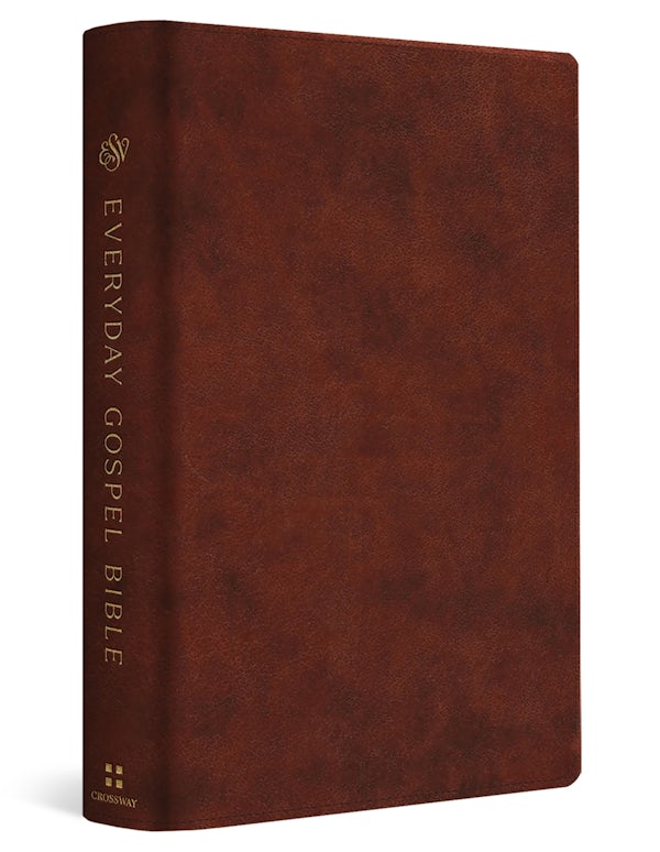 Cover image for ESV Everyday Gospel Bible, isbn: 9781433595707