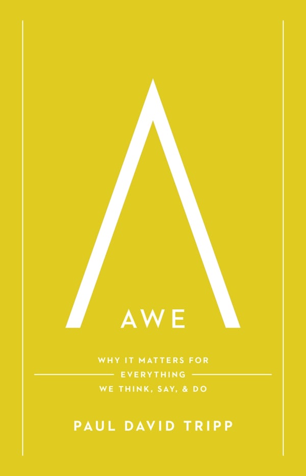 Cover image for Awe, isbn: 9781433597558