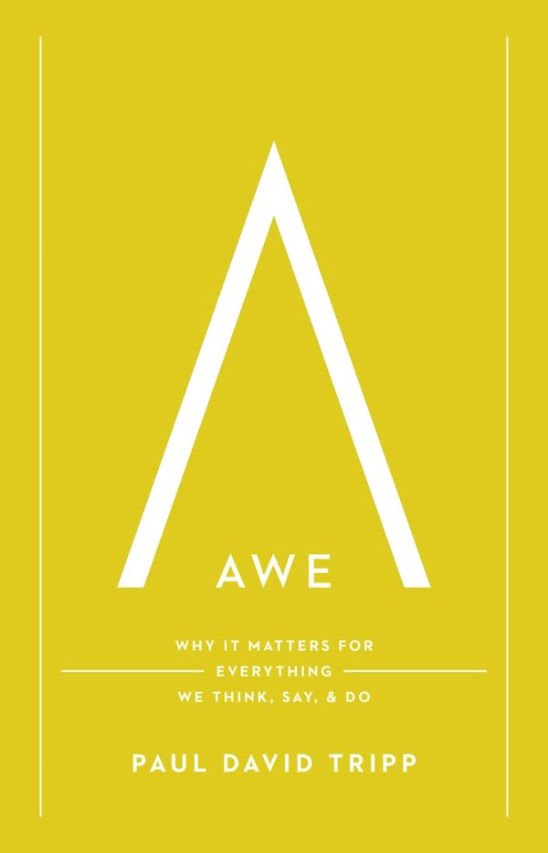 Cover image for Awe, isbn: 9781433597558