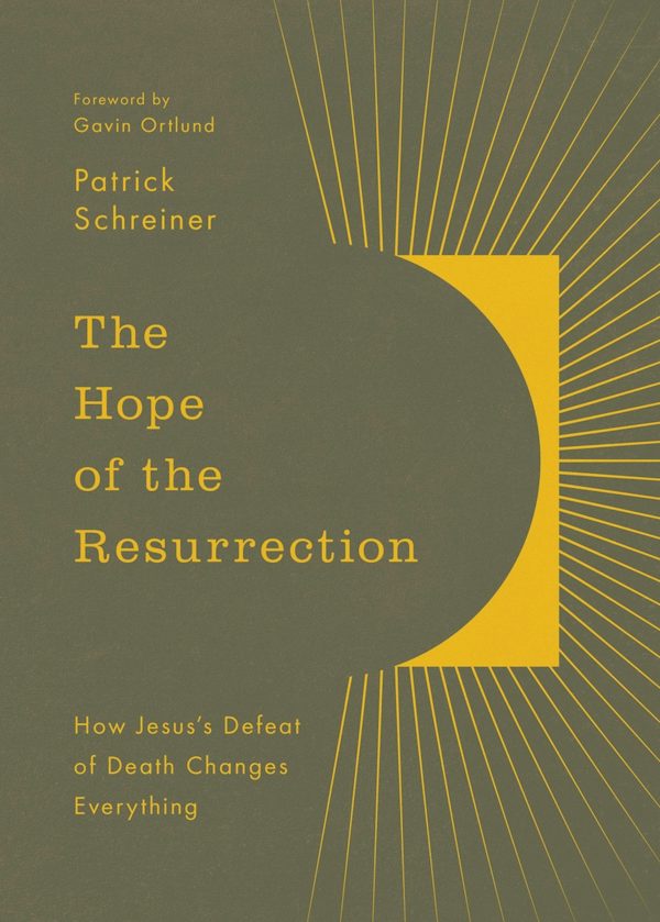 Cover image for The Hope of the Resurrection, isbn: 9781433597619