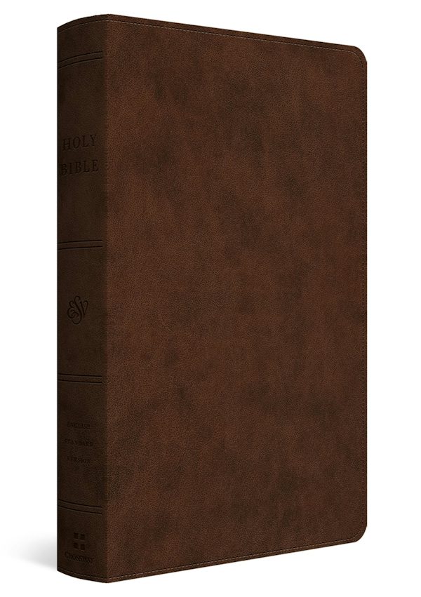 Cover image for ESV Holy Bible, isbn: 9781433598357