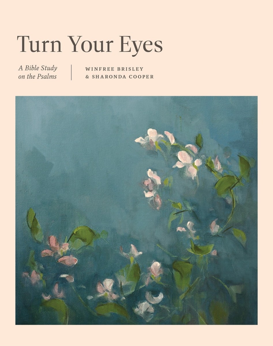 Cover image for Turn Your Eyes, isbn: 9781433598586