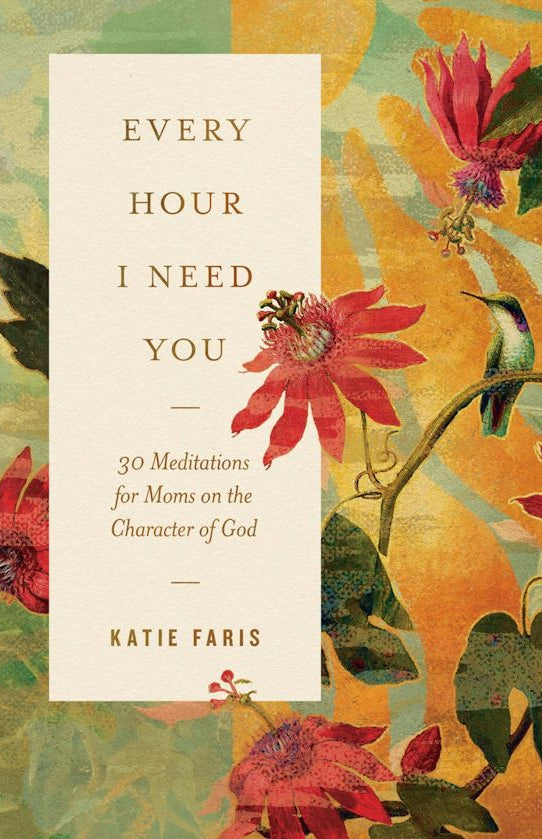 Cover image for Every Hour I Need You, isbn: 9781433598999