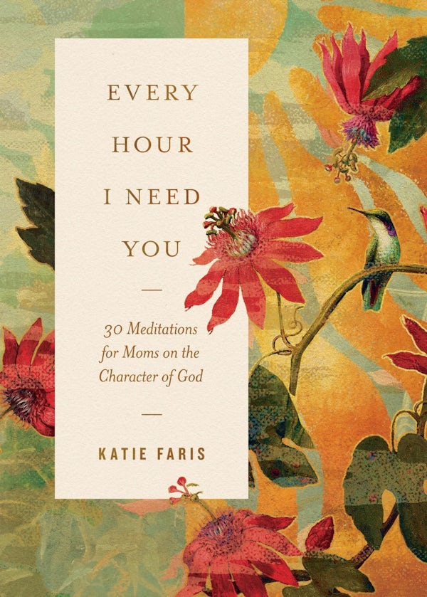 Cover image for Every Hour I Need You, isbn: 9781433598999