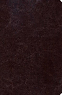 Cover image for Biblia de Estudio Scofield Tomano Personal-Rvr 1960, isbn: 9781433602504