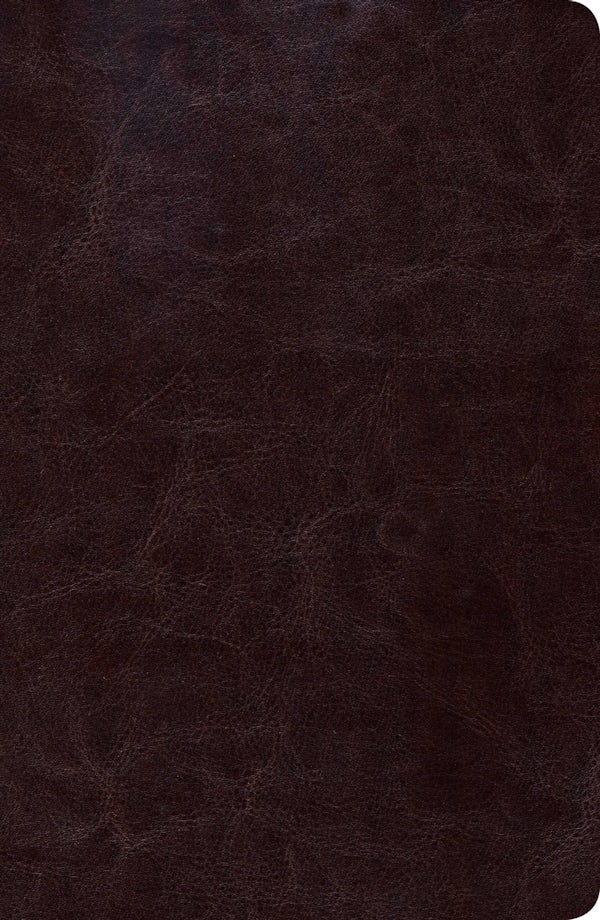 Cover image for Biblia de Estudio Scofield Tomano Personal-Rvr 1960, isbn: 9781433602504