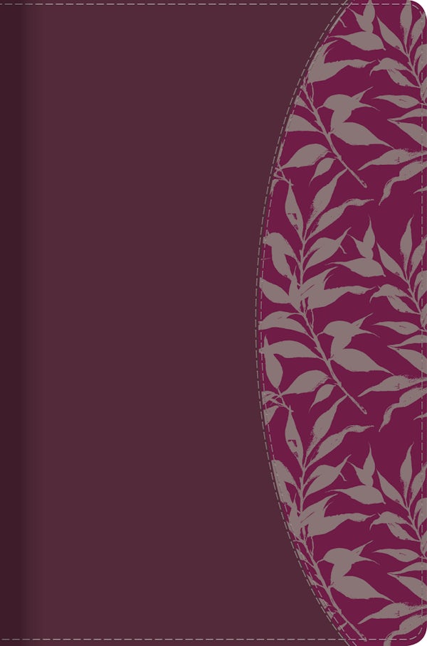 Cover image for Rvr 1960 Biblia de Estudio Para Mujeres, Vino Tinto/Fucsia S�mil Piel Con �ndice, isbn: 9781433613944