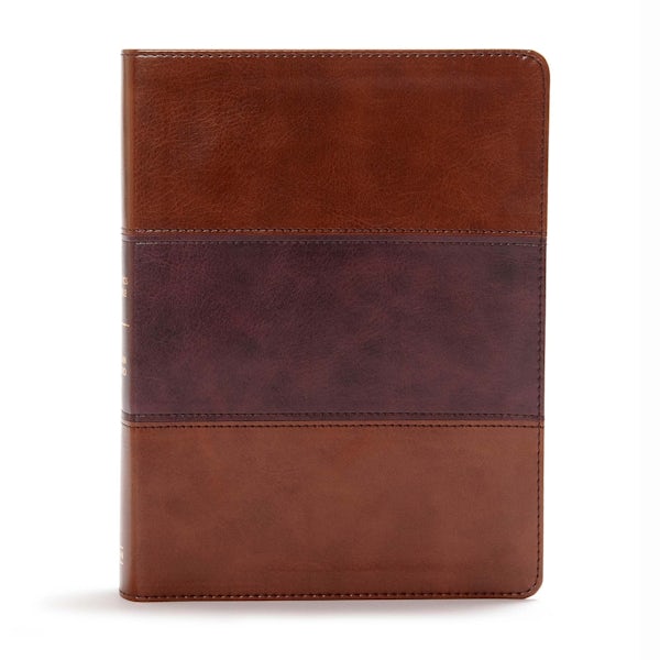 Cover image for CSB Apologetics Study Bible, Mahogany Leathertouch, isbn: 9781433651236