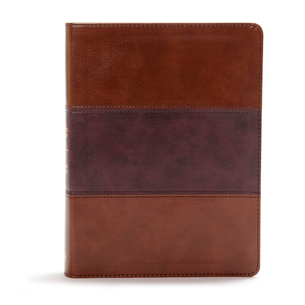 Cover image for CSB Apologetics Study Bible, Mahogany Leathertouch, Indexed, isbn: 9781433651243