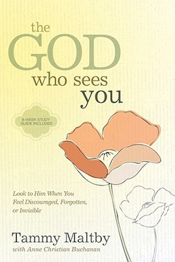 Cover image for The God Who Sees You, isbn: 9781434767998