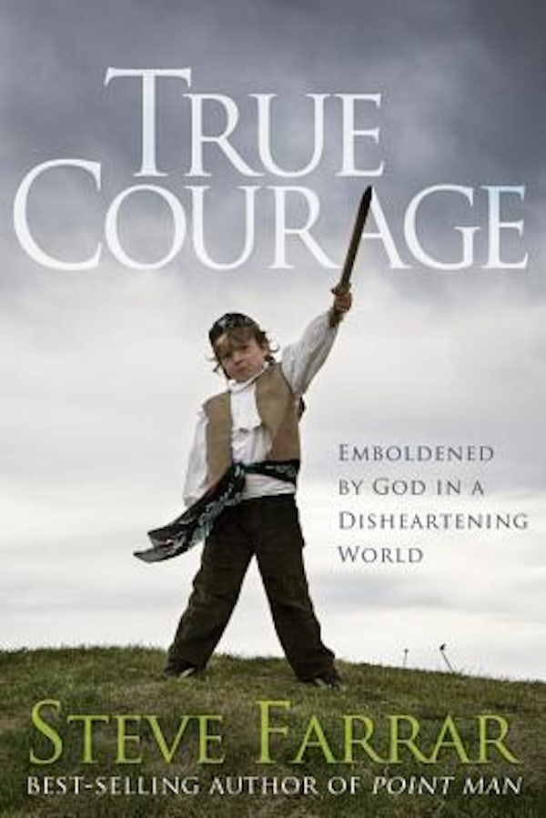 Cover image for True Courage, isbn: 9781434768735