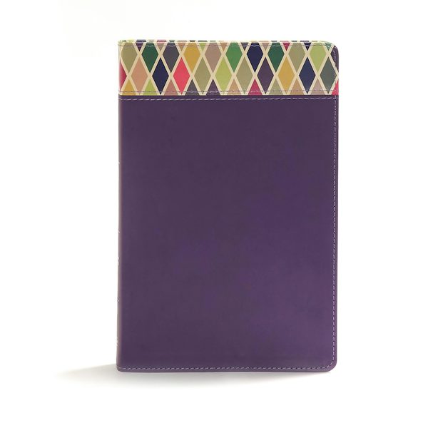 Cover image for CSB Rainbow Study Bible, Purple Leathertouch, isbn: 9781462741892