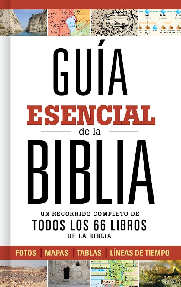 Cover image for Gu�a Esencial de la Biblia, isbn: 9781462745302