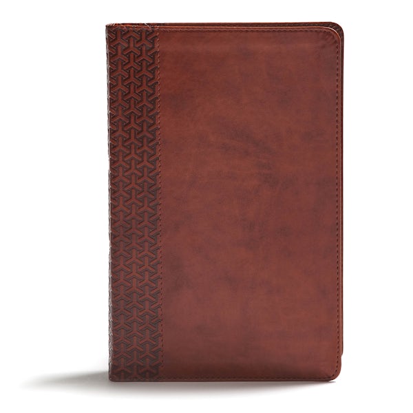 Cover image for CSB Everyday Study Bible, British Tan Leathertouch, isbn: 9781462796946