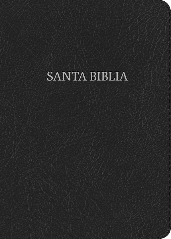 Cover image for NVI Biblia Letra S�per Gigante, Negro Piel Fabricada, isbn: 9781462799312