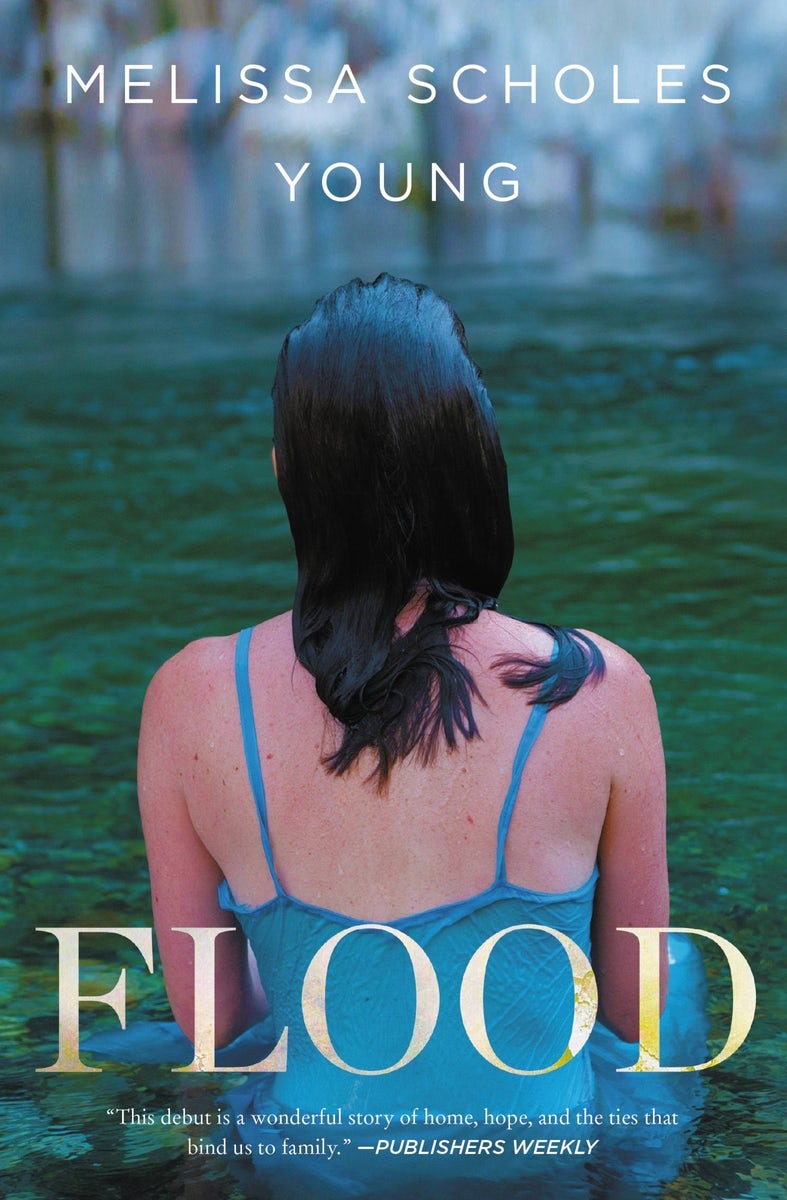 Cover image for Flood, isbn: 9781478970774