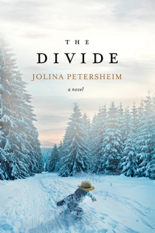 Cover image for The Divide, isbn: 9781496402226