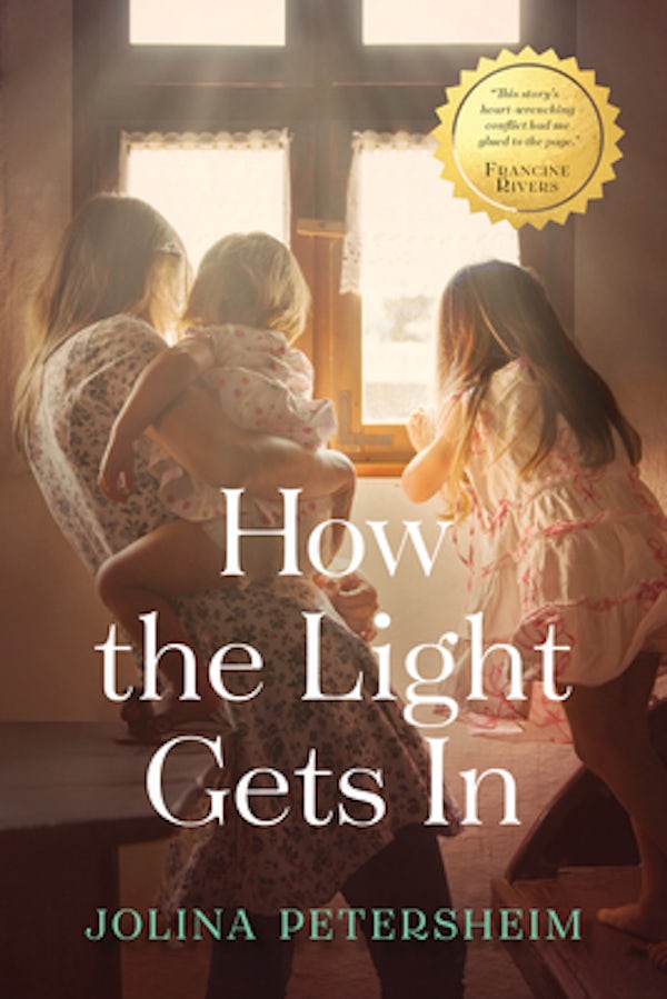 Cover image for How the Light Gets in, isbn: 9781496402233