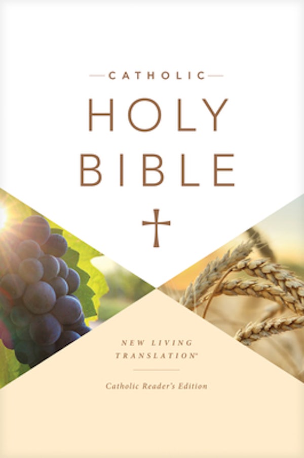 Cover image for Catholic Holy Bible Reader's Edition, isbn: 9781496414014